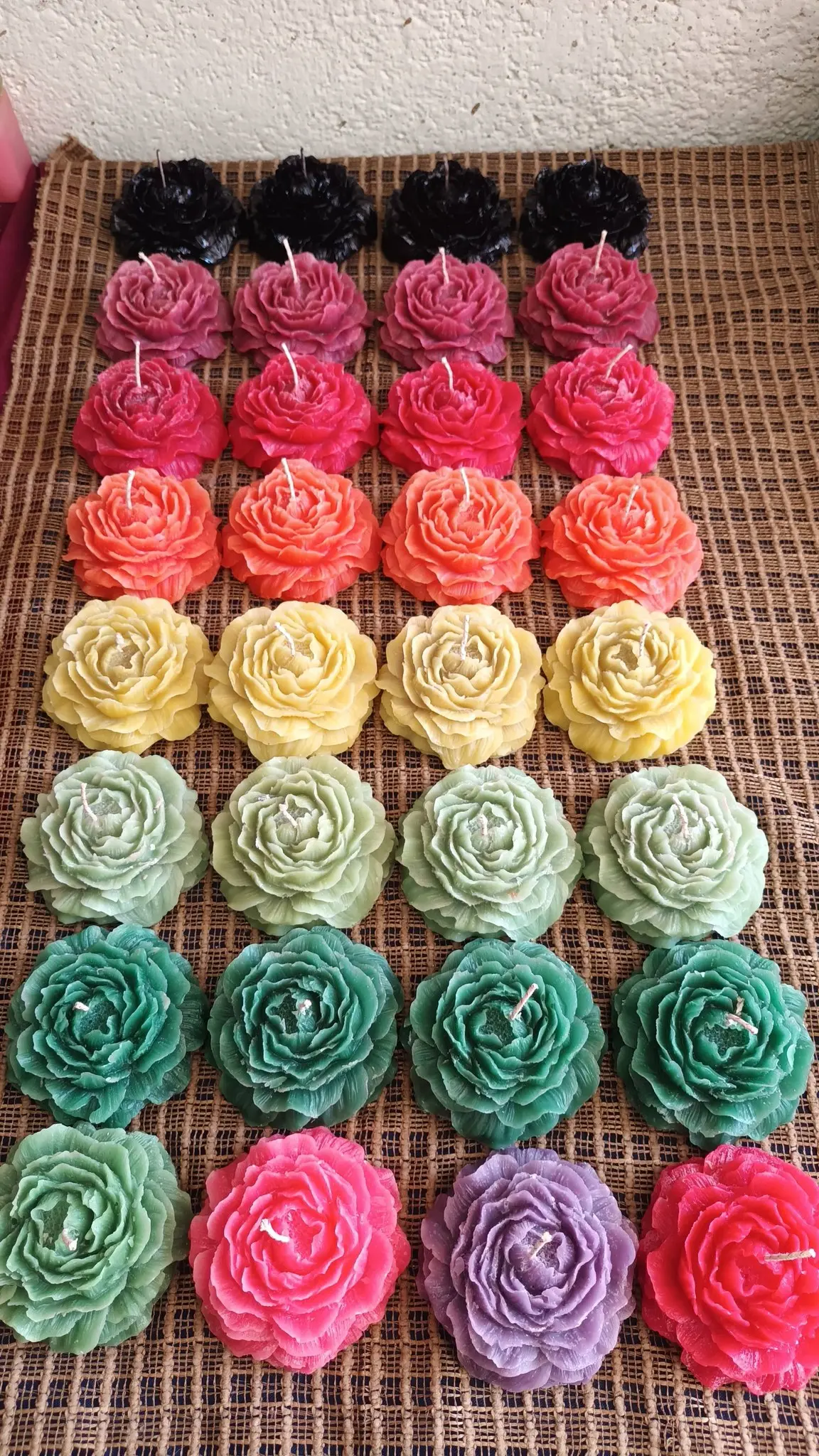 Rosas de Colores